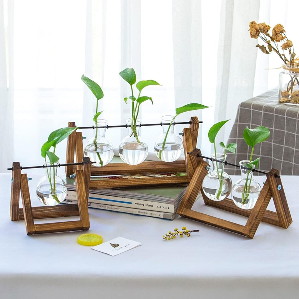 Plant Propagation Station Bulb Vase, 1 Bulb Vase
