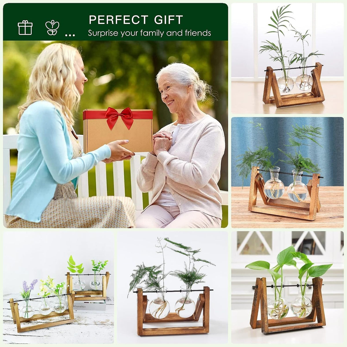Plant Propagation Station Bulb Vase, 1 Bulb Vase