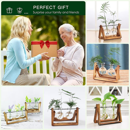 Plant Propagation Station Bulb Vase, 1 Bulb Vase