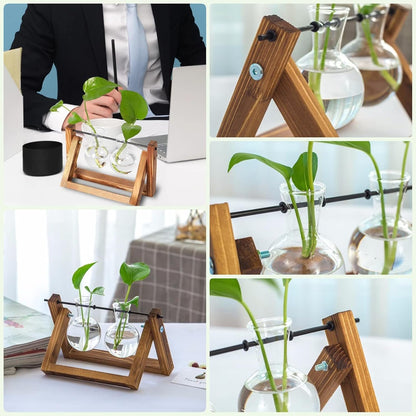 Plant Propagation Station Bulb Vase, 1 Bulb Vase