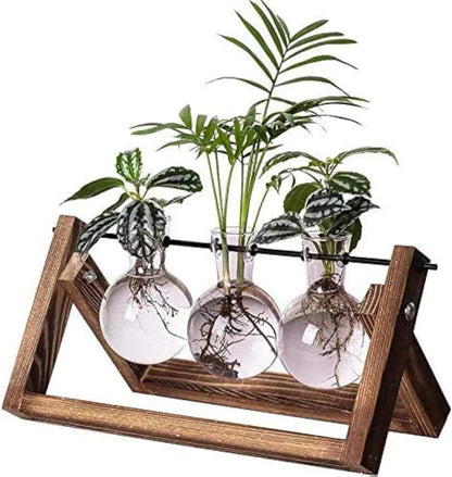 Plant Propagation Station Bulb Vase, 1 Bulb Vase