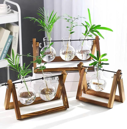 Plant Propagation Station Bulb Vase, 1 Bulb Vase