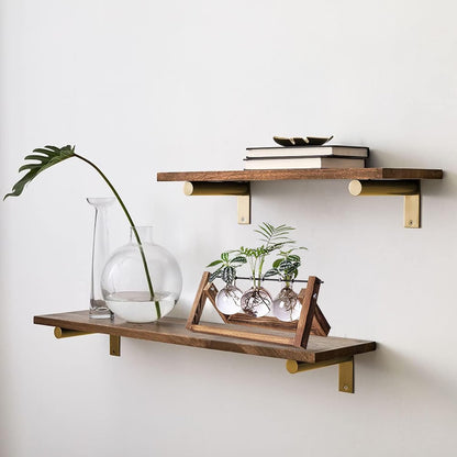 Plant Propagation Station Bulb Vase, 1 Bulb Vase