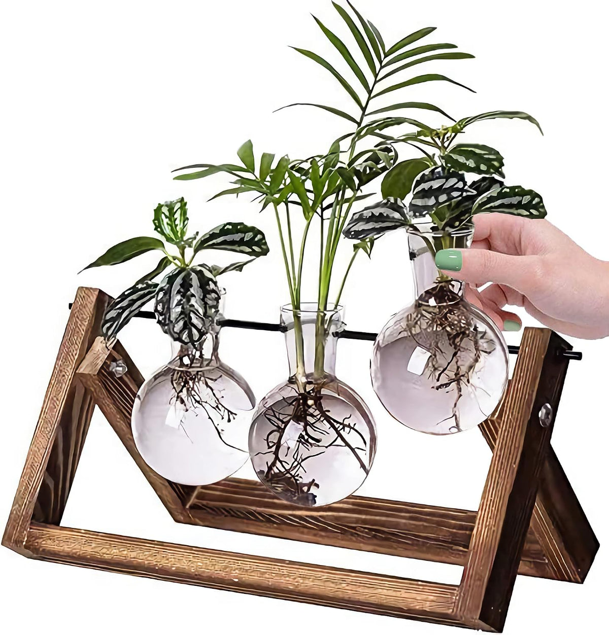 Plant Propagation Station Bulb Vase, 1 Bulb Vase