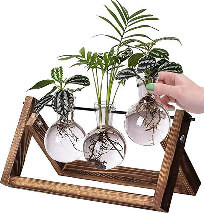 Plant Propagation Station Bulb Vase, 1 Bulb Vase