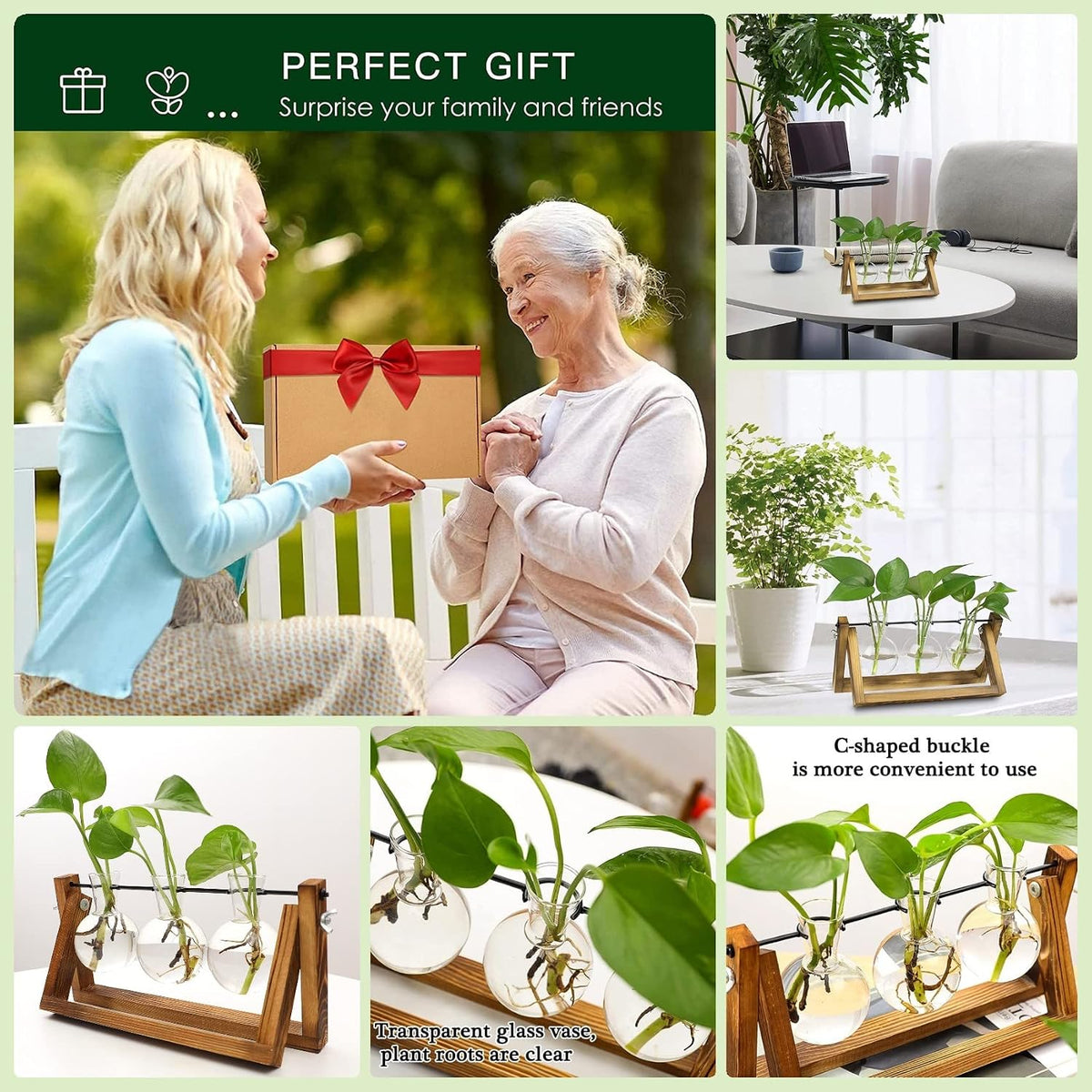 Plant Propagation Station Bulb Vase, 1 Bulb Vase