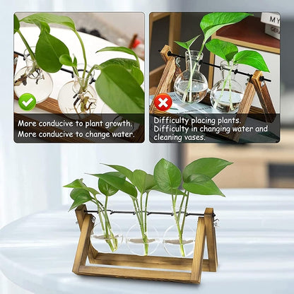 Plant Propagation Station Bulb Vase, 1 Bulb Vase