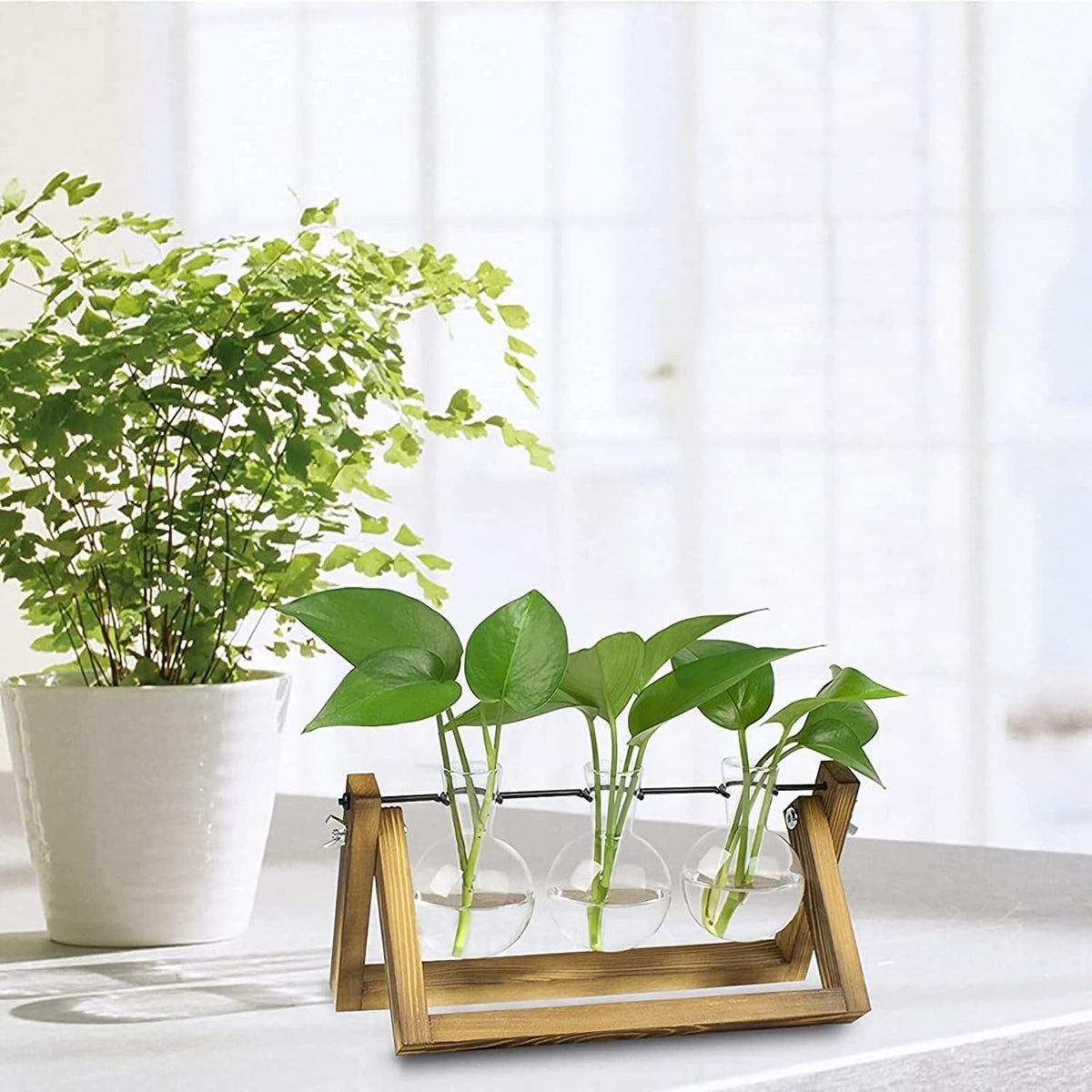 Plant Propagation Station Bulb Vase, 1 Bulb Vase
