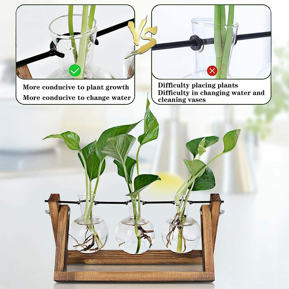 Plant Propagation Station Bulb Vase, 1 Bulb Vase