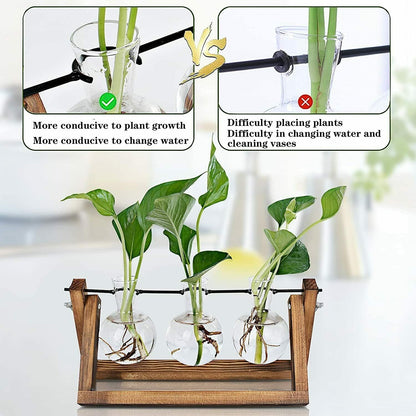 Plant Propagation Station Bulb Vase, 1 Bulb Vase