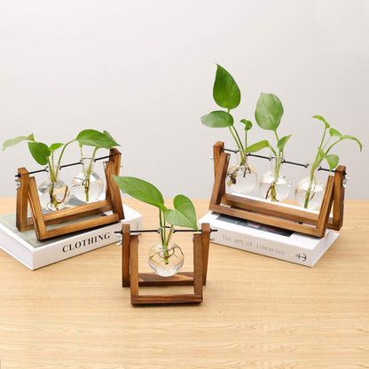 Plant Propagation Station Bulb Vase, 1 Bulb Vase