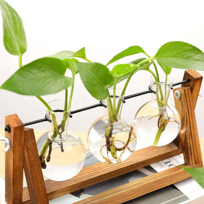 Plant Propagation Station Bulb Vase, 1 Bulb Vase