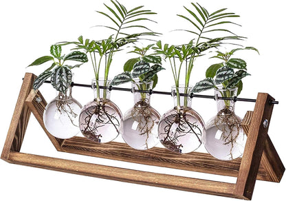 Plant Propagation Station Bulb Vase, 1 Bulb Vase