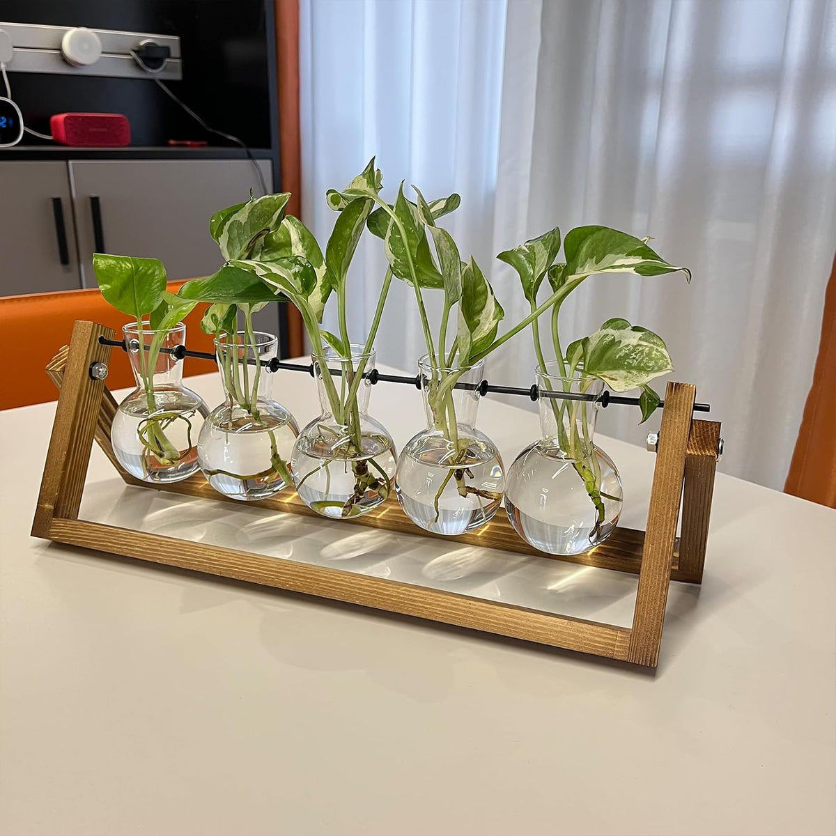 Plant Propagation Station Bulb Vase, 1 Bulb Vase