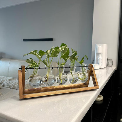 Plant Propagation Station Bulb Vase, 1 Bulb Vase
