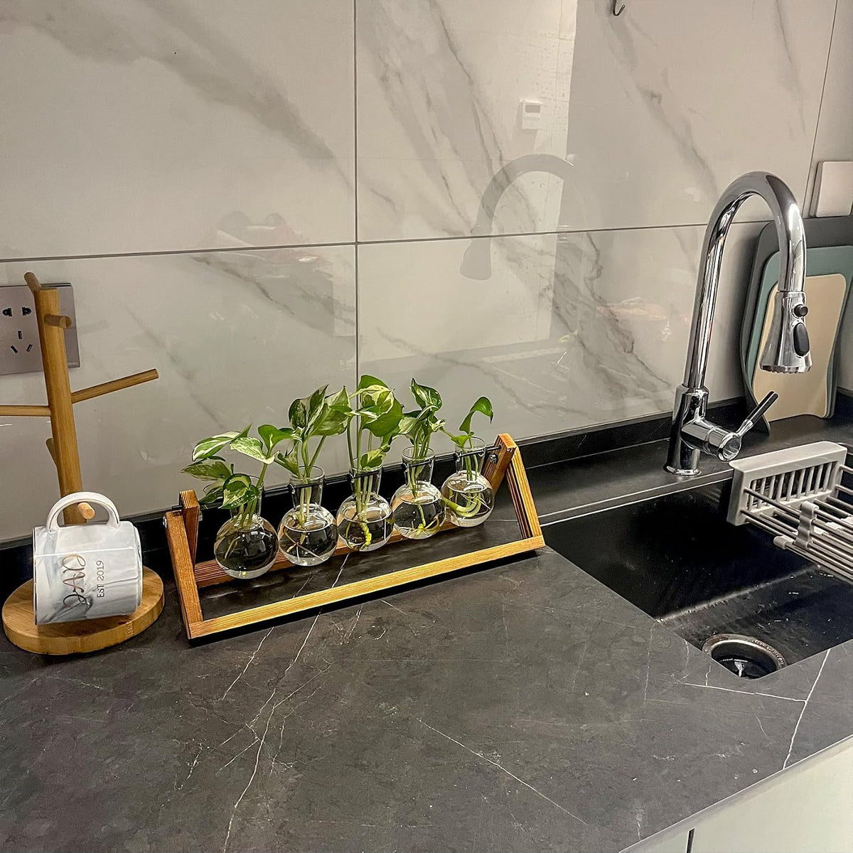 Plant Propagation Station Bulb Vase, 1 Bulb Vase