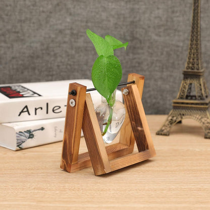 Plant Propagation Station Bulb Vase, 1 Bulb Vase