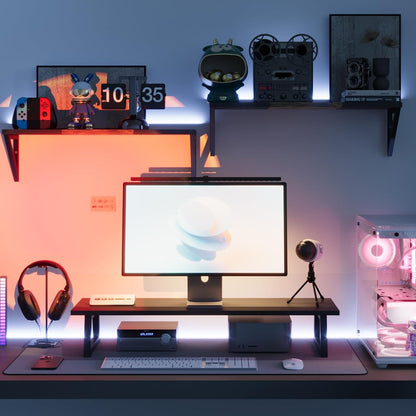 White Dual Monitor Stand Riser, 31.5 inch Long Stand, Desk Organizer