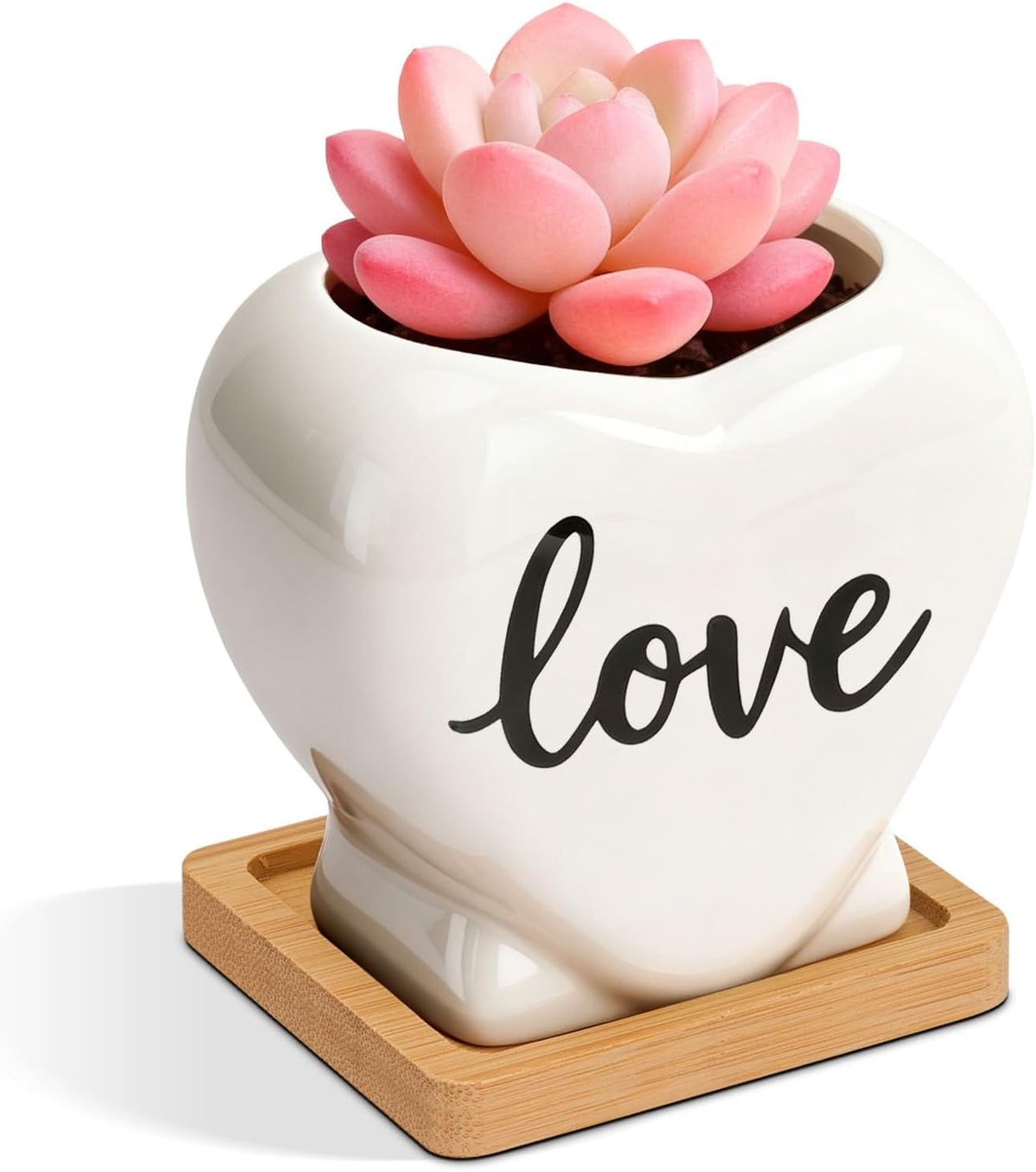 Ceramic Succulent Pot, Heart Shape Gift Planter for Plants and Decor