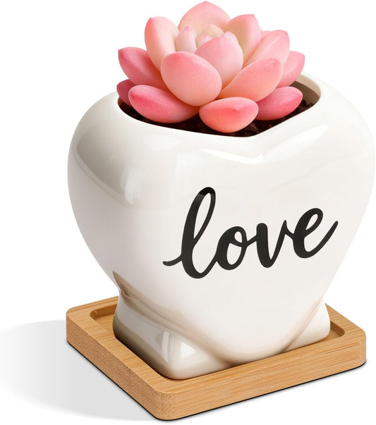 Ceramic Succulent Pot, Heart Shape Gift Planter for Plants and Decor