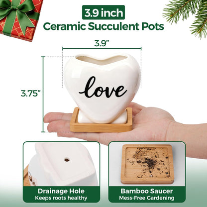 Ceramic Succulent Pot, Heart Shape Gift Planter for Plants and Decor