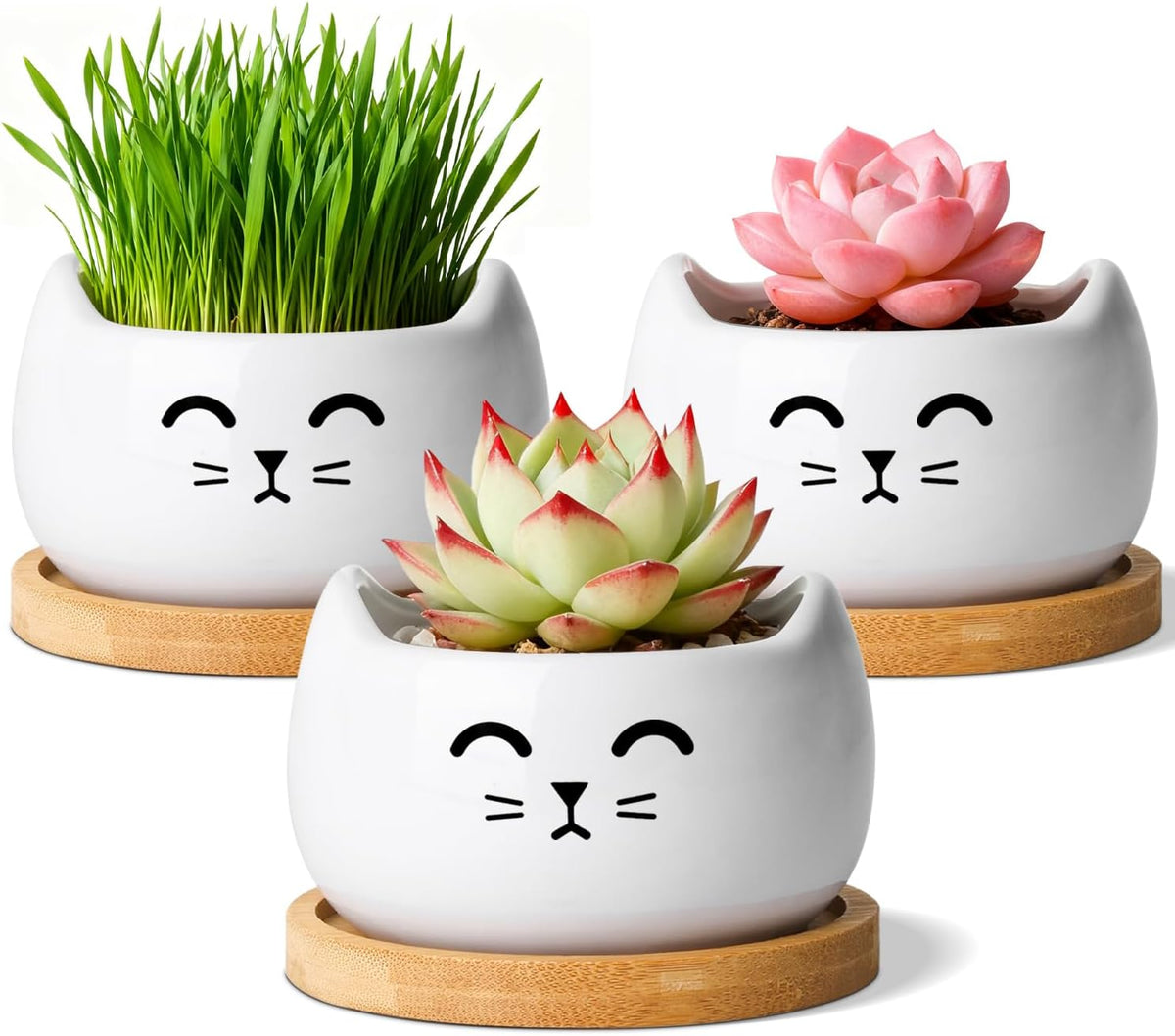 Ceramic Succulent Pot, Heart Shape Gift Planter for Plants and Decor