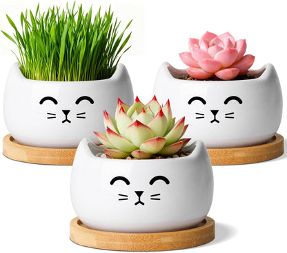 Ceramic Succulent Pot, Heart Shape Gift Planter for Plants and Decor