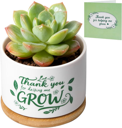 Ceramic Succulent Pot, Heart Shape Gift Planter for Plants and Decor