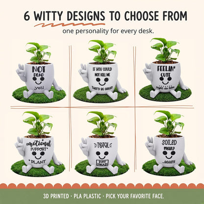 Funny Face Indoor Head Planter Pot, 3D Printed, Unique Small Succulent Flower Pot, Cute Cactus Planter, Indoor Home Decor, Office Desk Plant Pot, Novelty Gardening Gift Set