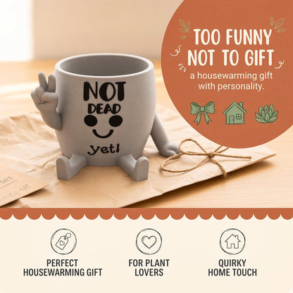 Funny Face Indoor Head Planter Pot, 3D Printed, Unique Small Succulent Flower Pot, Cute Cactus Planter, Indoor Home Decor, Office Desk Plant Pot, Novelty Gardening Gift Set