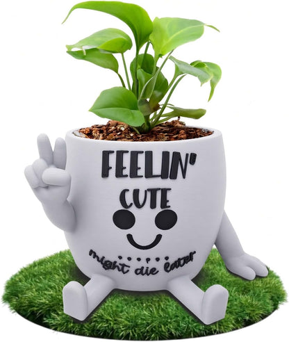 Funny Face Indoor Head Planter Pot, 3D Printed, Unique Small Succulent Flower Pot, Cute Cactus Planter, Indoor Home Decor, Office Desk Plant Pot, Novelty Gardening Gift Set