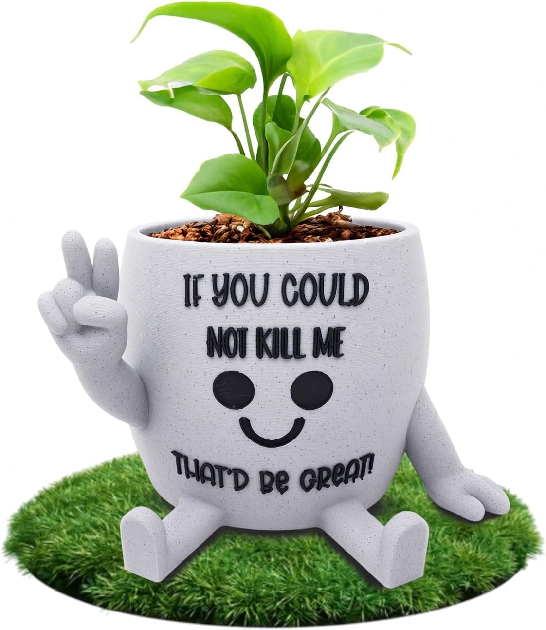 Funny Face Indoor Head Planter Pot, 3D Printed, Unique Small Succulent Flower Pot, Cute Cactus Planter, Indoor Home Decor, Office Desk Plant Pot, Novelty Gardening Gift Set