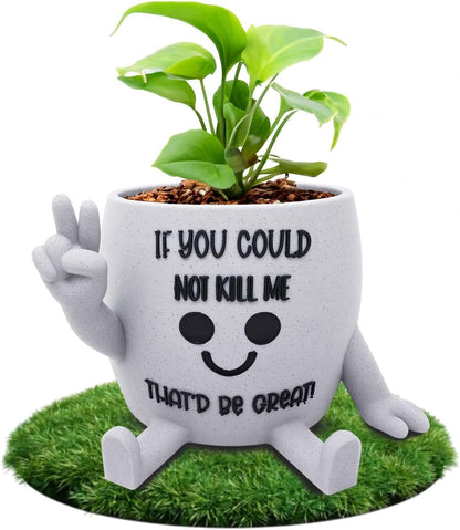 Funny Face Indoor Head Planter Pot, 3D Printed, Unique Small Succulent Flower Pot, Cute Cactus Planter, Indoor Home Decor, Office Desk Plant Pot, Novelty Gardening Gift Set