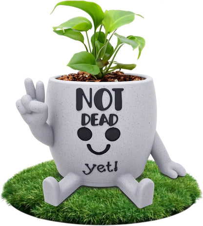 Funny Face Indoor Head Planter Pot, 3D Printed, Unique Small Succulent Flower Pot, Cute Cactus Planter, Indoor Home Decor, Office Desk Plant Pot, Novelty Gardening Gift Set