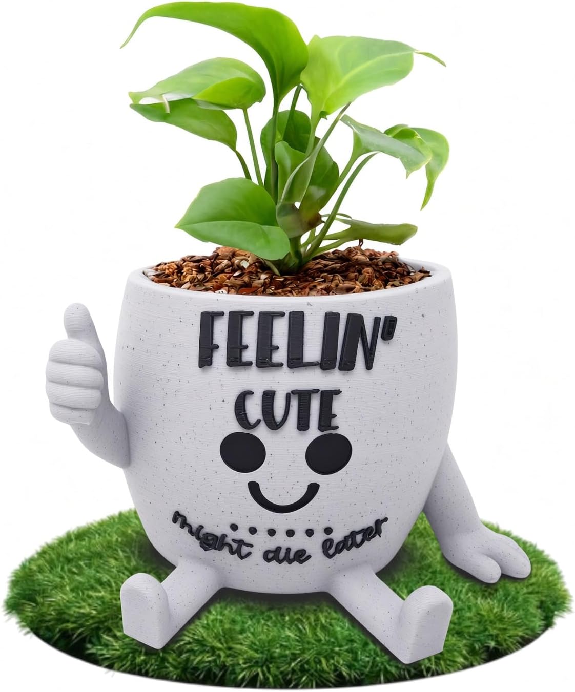 Funny Face Indoor Head Planter Pot, 3D Printed, Unique Small Succulent Flower Pot, Cute Cactus Planter, Indoor Home Decor, Office Desk Plant Pot, Novelty Gardening Gift Set