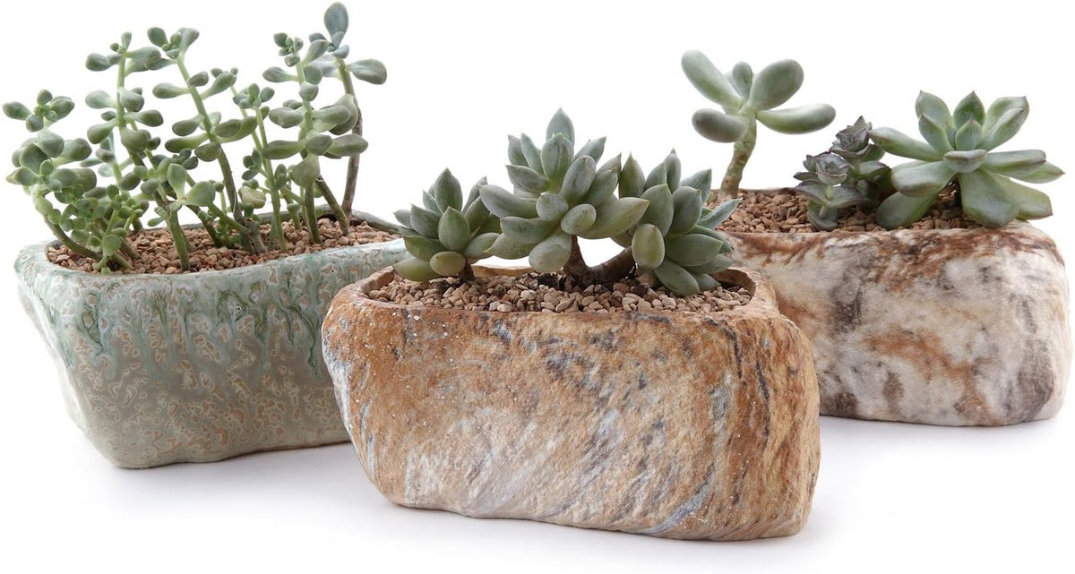 5.5 Inch Ceramic Succulent Pot Planter with Drainage Hole Set of 3, Stone Shape Rectangle Window Box Cactus Plant Containers Gift for Mom Sister Aunt Best for Home Office Table Desk Decoration