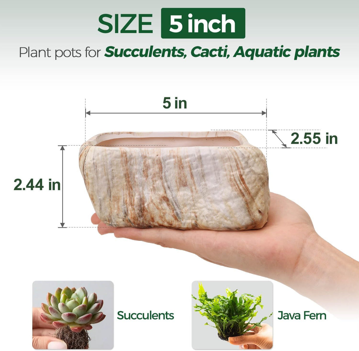 5.5 Inch Ceramic Succulent Pot Planter with Drainage Hole Set of 3, Stone Shape Rectangle Window Box Cactus Plant Containers Gift for Mom Sister Aunt Best for Home Office Table Desk Decoration