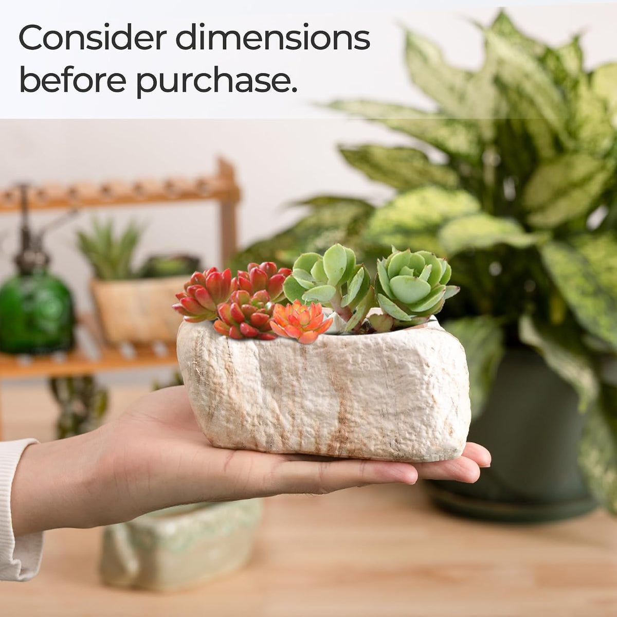 5.5 Inch Ceramic Succulent Pot Planter with Drainage Hole Set of 3, Stone Shape Rectangle Window Box Cactus Plant Containers Gift for Mom Sister Aunt Best for Home Office Table Desk Decoration