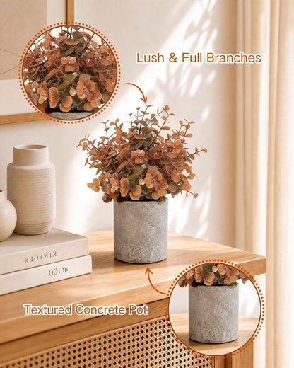 2 Pcs Small Fake Plants Eucalyptus, Artificial Plants Indoor for Shelf, Potted Eucalyptus Plants for Home/Bathroom/Pottery Barn/Desk/Farmhouse/Coffee Table Decor (Sage Green)