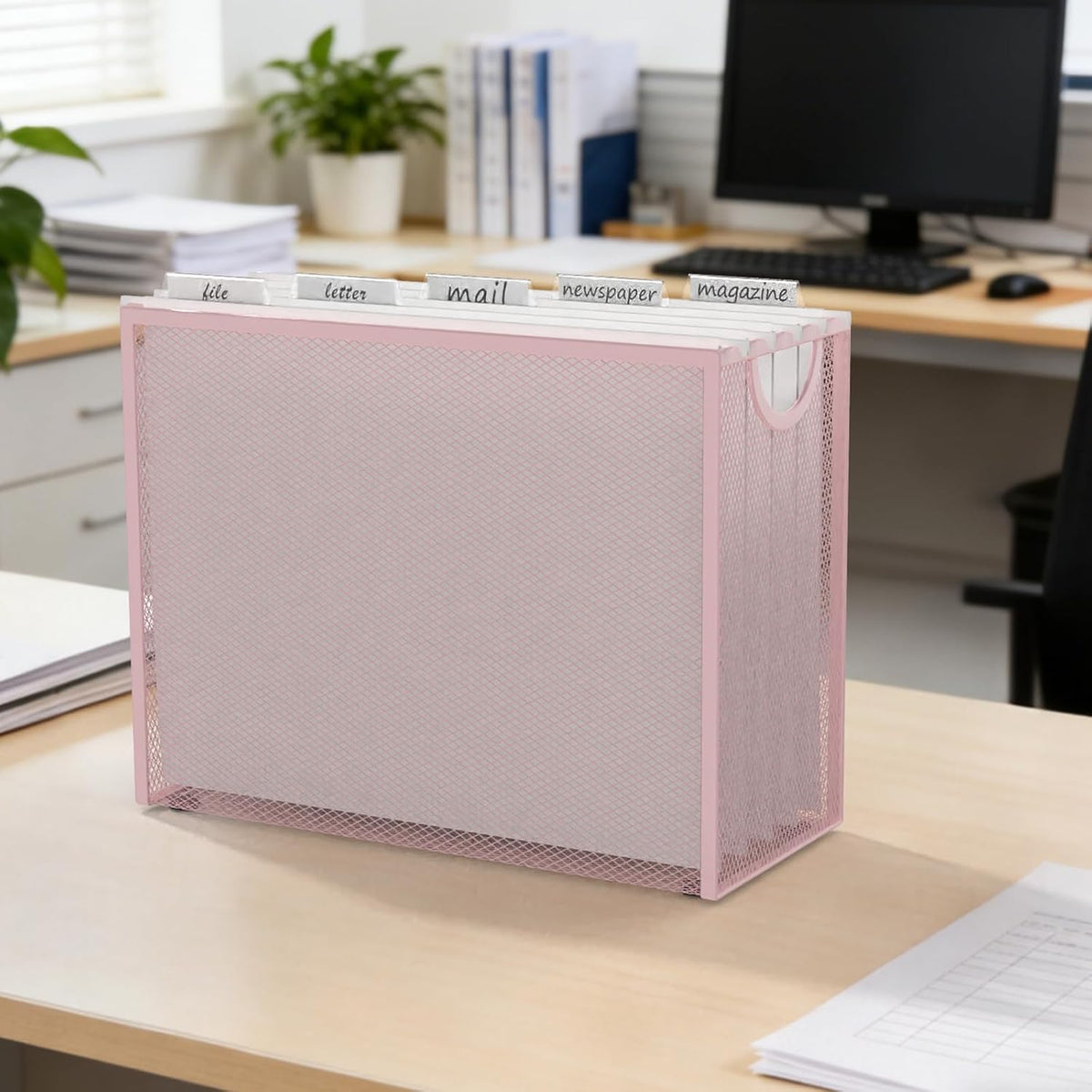 Hanging File Organizer Includes 5 Hanging Folders for Office, Black