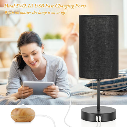 Set of 2 Table Lamps, Modern Bedside Desk Lamps with Pull Chain